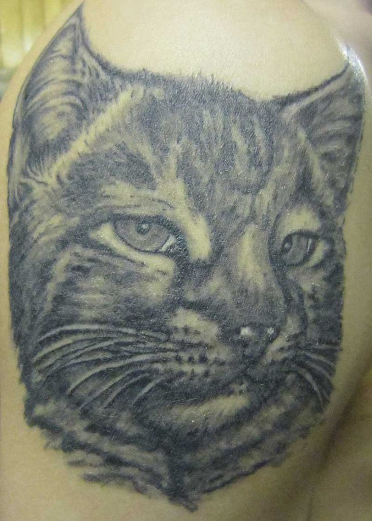 Фото, значение в магии татуировки " Кот. Кошка. Котенок. " - Страница 2 Z_b32de58a
